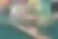 Licenca za pristup igri Calico je besplatna na Epic Games Storeu