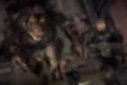 Više od milijun igrača zaigralo Gears of War: Reloaded