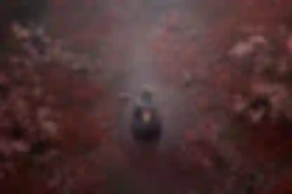 Konami će predstaviti novi trailer za Silent Hill f na uvodnom eventu Gamescoma