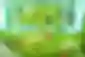 Licenca za pristup igri Cat Quest je besplatna na Epic Games Storeu