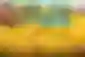 Licenca za pristup igri Cat Quest II je besplatna na Epic Games Storeu