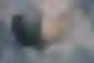 Ghost of Yotei će nuditi titlove i glavni izbornik na hrvatskom jeziku