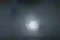 Limbo i Inside odlaze s GOG-a - nije poznato hoće li biti uklonjene sa Steama i drugih platformi